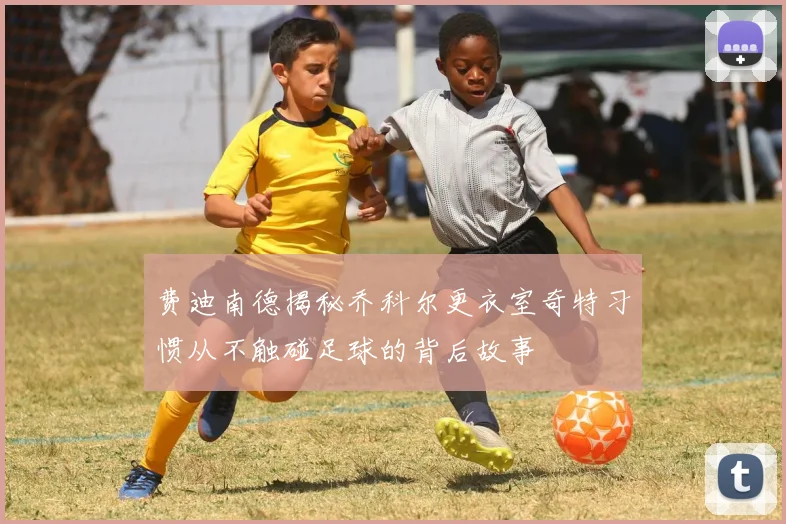 费迪南德揭秘乔科尔更衣室奇特习惯从不触碰足球的背后故事